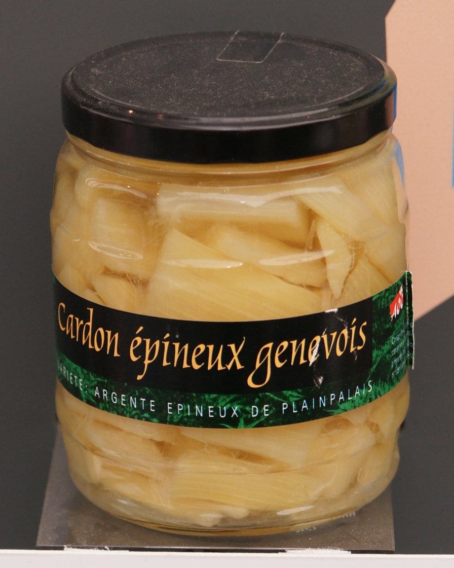 Gratin aus Genfer Karden mit heller Sauce und überbackenem Käse, ein traditionelles Wintergericht des Kantons Genf