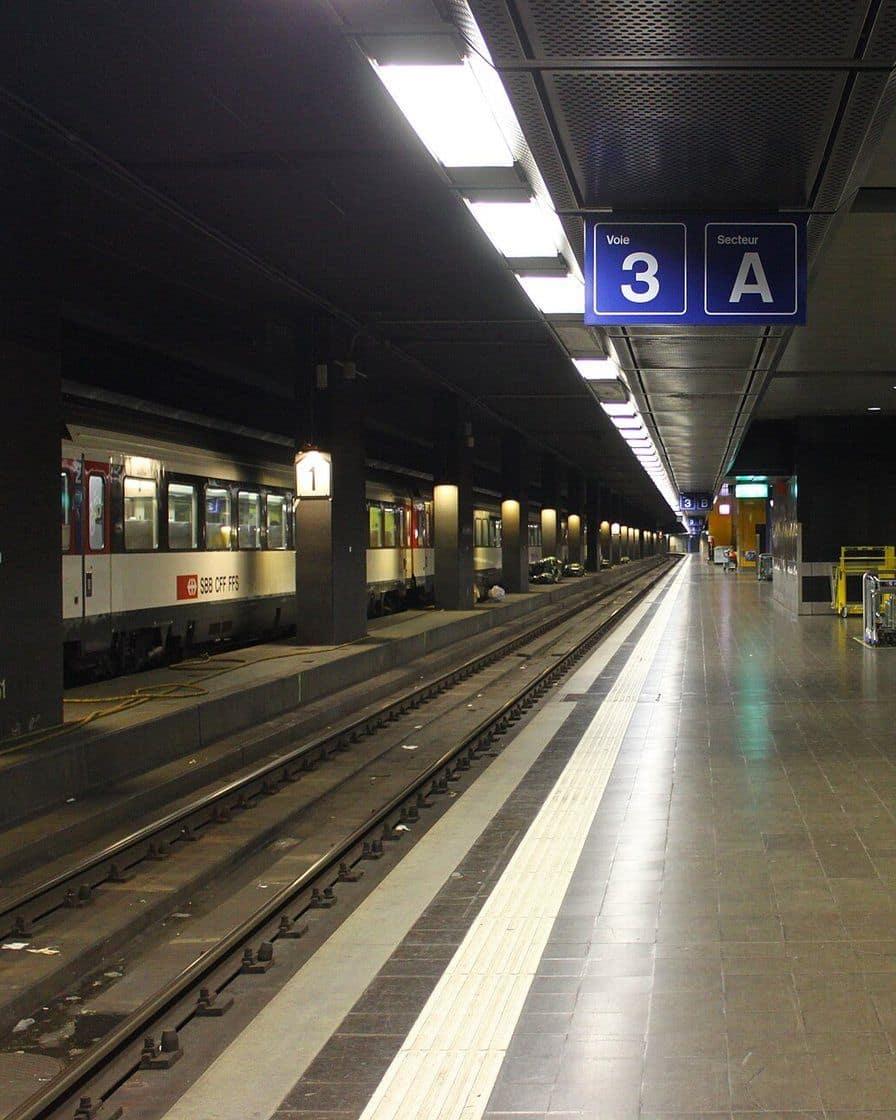 La estación de tren de Genève-Aéroport, integrada en la terminal, con un tren en el andén y viajeros con sus maletas