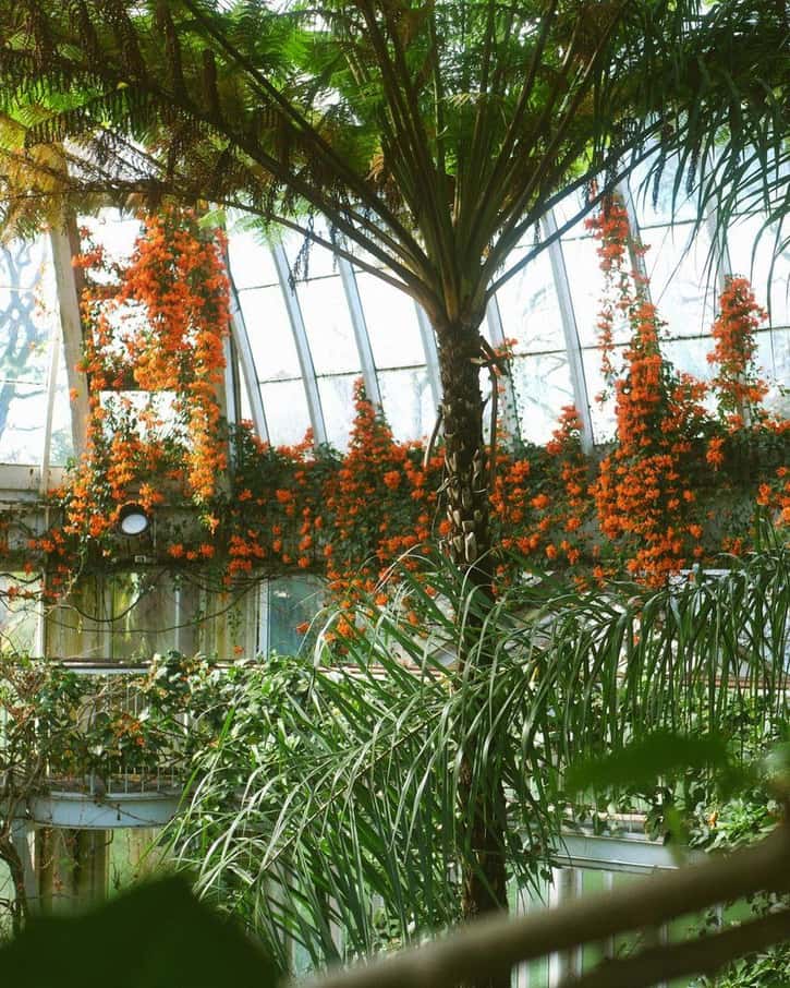 Los invernaderos y paseos del Conservatorio y Jardín Botánico de Ginebra, cerca del lago, en primavera
