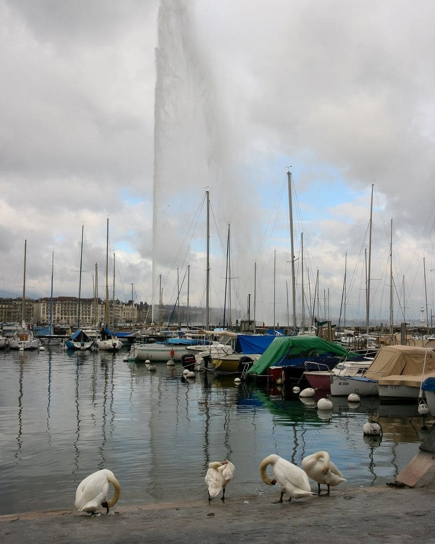 Der Quai du Mont-Blanc in Genf am Morgen, mit vertäuten Schiffen, der Bucht und dem Jet d'eau in der Ferne auf dem Genfersee