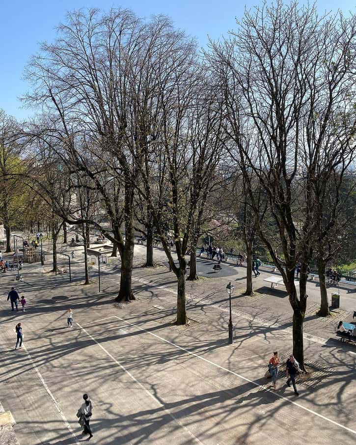 The Promenade de la Treille in Geneva, with its long wooden bench under the chestnut trees, overlooking the Parc des Bastions