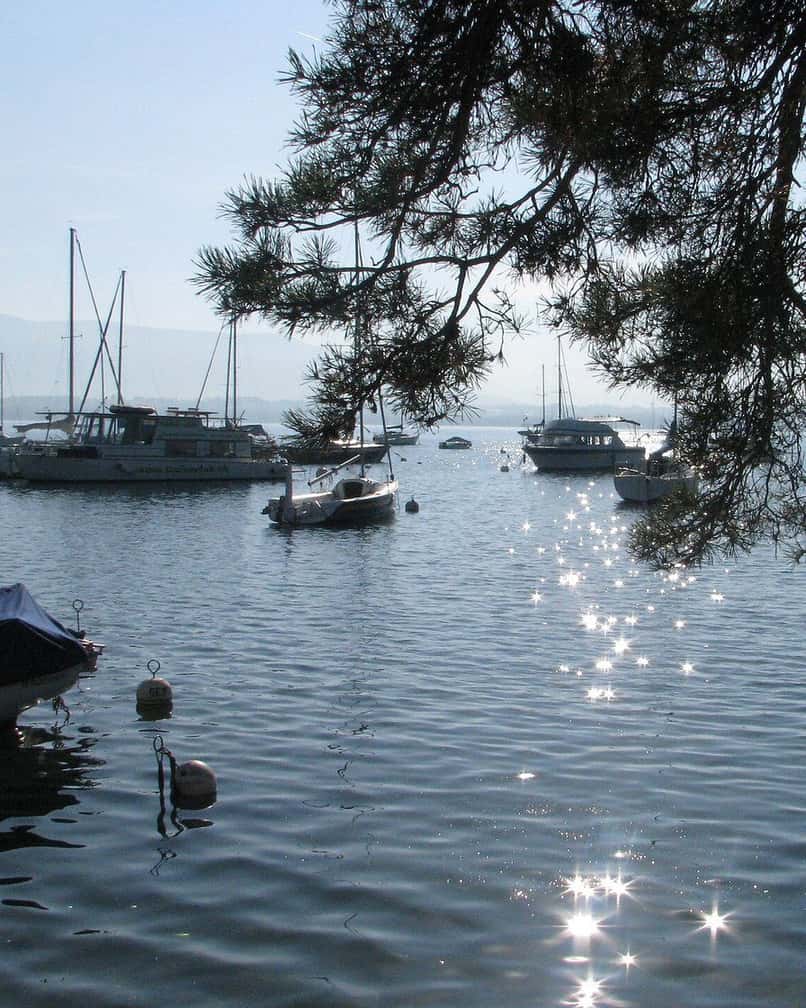 Das Ufer des Genfersees in Versoix, nördlich von Genf, mit Zugang zum Wasser und Booten vor Anker